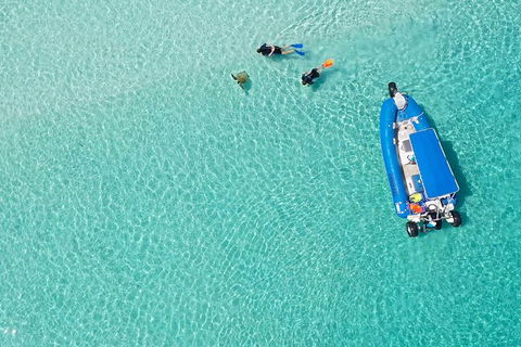 Remote Fraser Island & Whale Experience - Accommodation Bookings 0