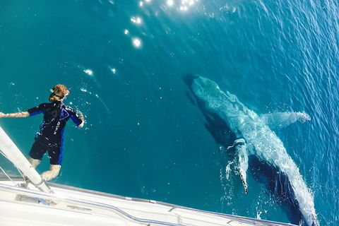 Remote Fraser Island & Whale Experience - Accommodation Bookings 4