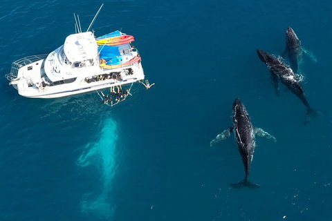 Remote Fraser Island & Whale Experience - Accommodation Bookings 3