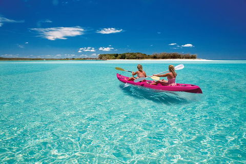 Remote Fraser Island & Whale Experience - Accommodation Bookings 5