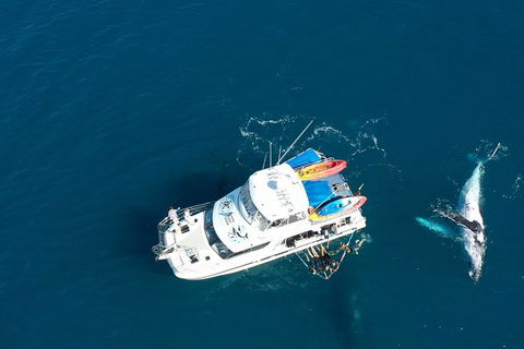 Remote Fraser Island & Whale Experience - Accommodation Bookings 1