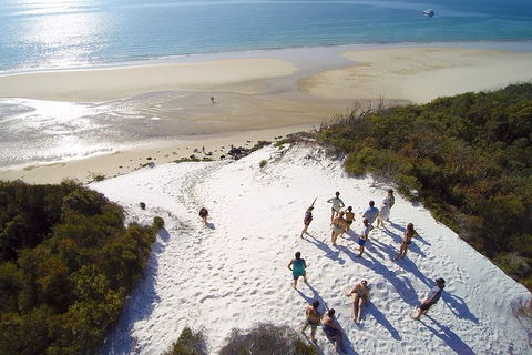 Remote Fraser Island & Whale Experience - Accommodation Bookings 2