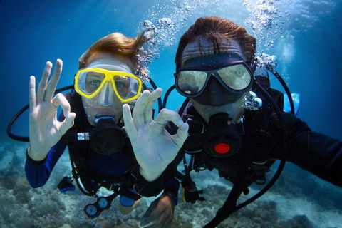 2 Night Whitsunday Islands Cruise On Atlantic Clipper From Airlie Beach - Accommodation Bookings 4