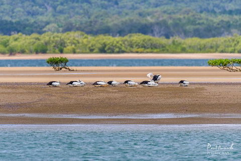 Sandy Straits Scenic & Wildlife Cruise - Accommodation Bookings 3