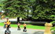 Segway Tour At Seppeltsfield Winery - thumb 6