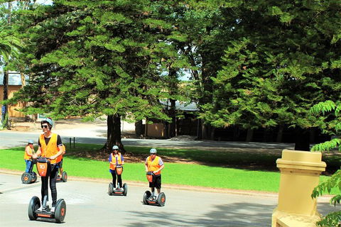 Segway Tour At Seppeltsfield Winery - Accommodation Bookings 6