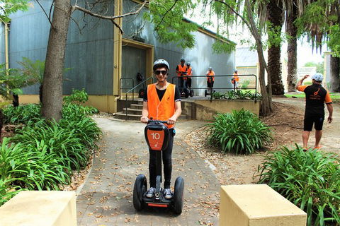 Segway Tour At Seppeltsfield Winery - Accommodation Bookings 1