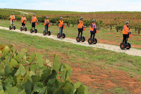 Segway Tour At Seppeltsfield Winery - Accommodation Bookings 7