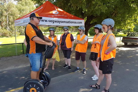 Segway Tour At Seppeltsfield Winery - Accommodation Bookings 9