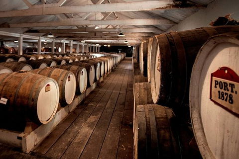 Seppeltsfield Taste Your Birth Year Tour - Accommodation Bookings 3
