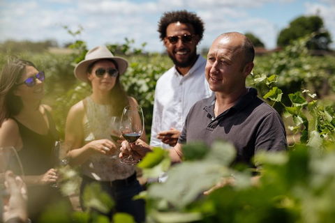 Elderton Elite Tasting Experience - Accommodation Bookings 0