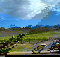 Unique Trike Barossa Valley Half Day Private Tour For 2 - Accommodation Bookings
