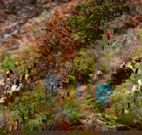 3-Night Wilpena Pound Getaway Including Scenic Flight and 4WD Tour - Accommodation Bookings