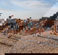 4 Day Adelaide to Coober Pedy Adventure - Accommodation Bookings