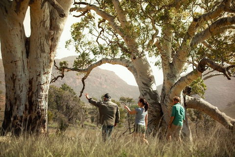 Yura Udnyu - Our Culture, Your Culture (Aboriginal Cultural Walk) - Accommodation Bookings 3