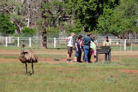 Yura Udnyu - Our Culture, Your Culture (Aboriginal Cultural Walk) - Accommodation Bookings 5
