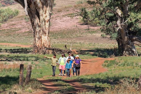 Yura Udnyu - Our Culture, Your Culture (Aboriginal Cultural Walk) - Accommodation Bookings 1