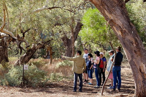 Yura Udnyu - Our Culture, Your Culture (Aboriginal Cultural Walk) - Accommodation Bookings 8