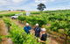 Two Hands Wines \'Single Vineyards Experience\' - thumb 1