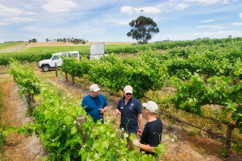 Two Hands Wines \'Single Vineyards Experience\' - Accommodation Bookings 1