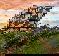 d'Arenberg Cube / McLaren Vale Regional Tour - Accommodation Bookings