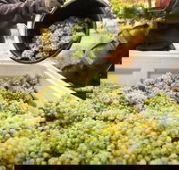 Adelaide Hills Wineries  Hahndorf - Accommodation Bookings