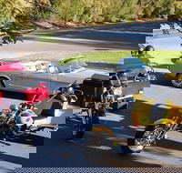 Ultimate Barossa Adventure Day Tour For 2 - Combined Mustang Convertible-Trike - Accommodation Bookings