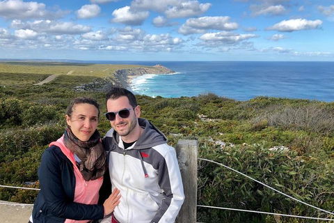 NEW TOUR - Flinders Chase Tour (Recovering From Fires) - Accommodation Bookings 3