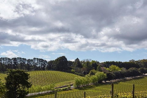 Adelaide Hills Full Day Winery Tour With Tastings - Accommodation Bookings 4