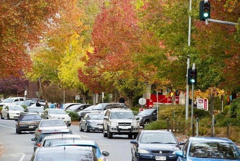 Adelaide Hills Full Day Winery Tour With Tastings - Accommodation Bookings 3