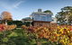 Adelaide Hills Full Day Winery Tour With Tastings - thumb 0
