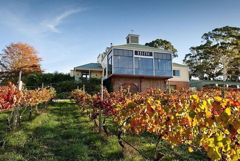 Adelaide Hills Full Day Winery Tour With Tastings - Accommodation Bookings 0