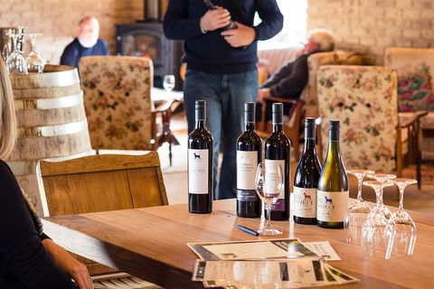 Wine Tasting At Our Cellar Door In Penola - Accommodation Bookings 1