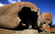 2-Day Kangaroo Island Safari From Adelaide - thumb 11