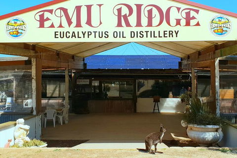2-Day Kangaroo Island Safari From Adelaide - Accommodation Bookings 14