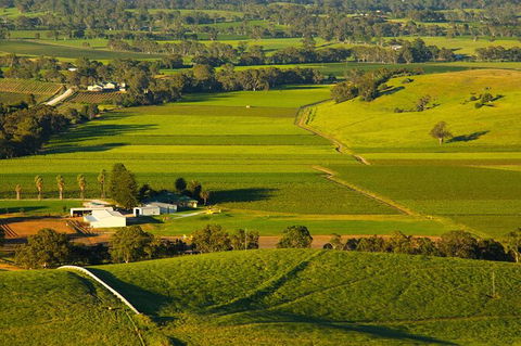 Full-Day Wine World Tour In Barossa - Accommodation Bookings 3