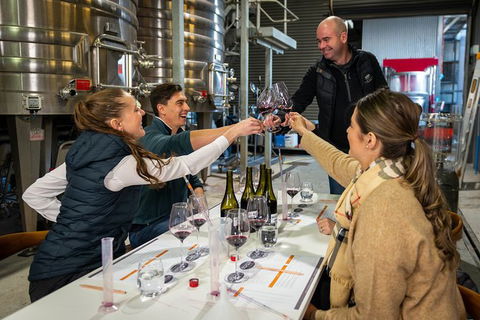 Winemaker Experience - Accommodation Bookings 0