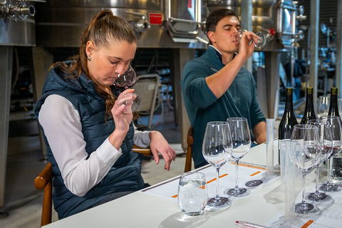 Winemaker Experience - Accommodation Bookings 1
