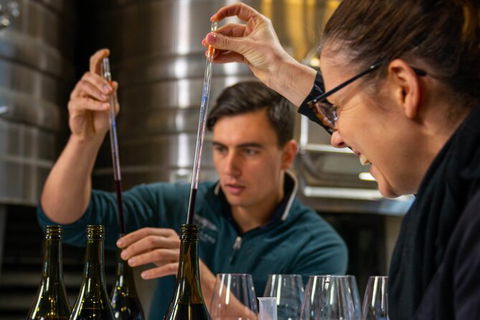Winemaker Experience - Accommodation Bookings 2