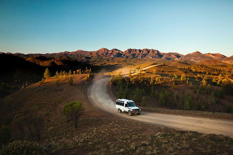 3-Day Wilpena Private Glamping Package With Scenic Flight - Accommodation Bookings 9