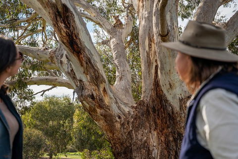 NEW TOUR - Kangaroo Island Road To Recovery Tour (1 Day/1 Night) - Accommodation Bookings 2