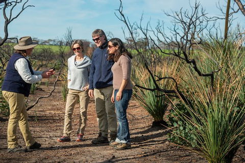 NEW TOUR - Kangaroo Island Road To Recovery Tour (1 Day/1 Night) - Accommodation Bookings 0