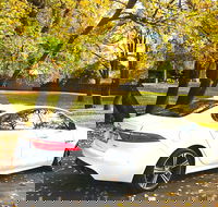 Luxury Jaguar Barossa Valley Half Day Private Tour For 2 - Accommodation Bookings