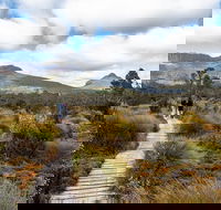 Cradle Mountain Day Tour - Accommodation Bookings