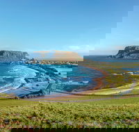 Cruise Ship Special from Burnie to Stanley and The Nut - Accommodation Bookings
