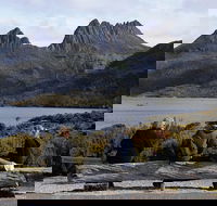 Cruise Ship Special from Burnie to Cradle Mountain - Accommodation Bookings