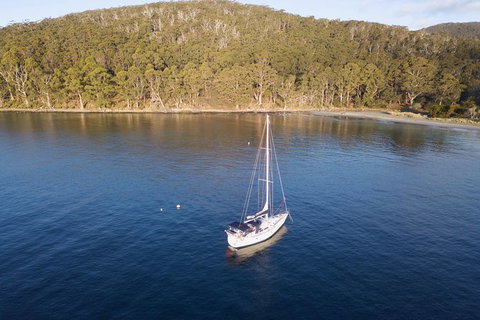 Derwent River Day Sail From Sullivan Cove And Return - Accommodation Bookings 2