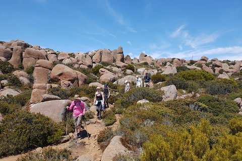 Alpine Loop - Accommodation Bookings 2