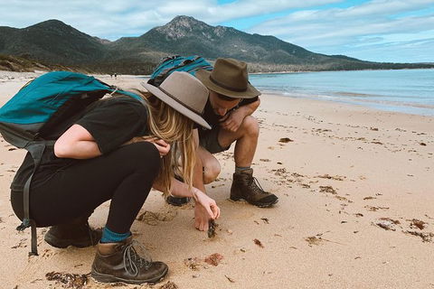 Freycinet Walking Tour - Accommodation Bookings 0