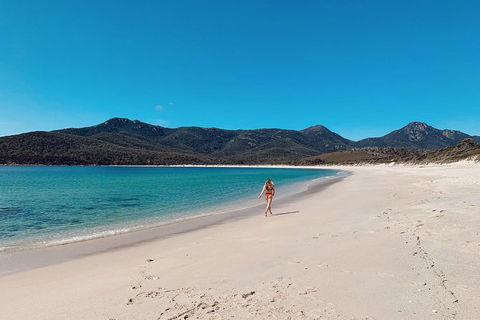 Freycinet Walking Tour - Accommodation Bookings 5